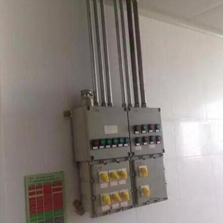 水產(chǎn)飼料生產(chǎn)線防爆配電箱項(xiàng)目